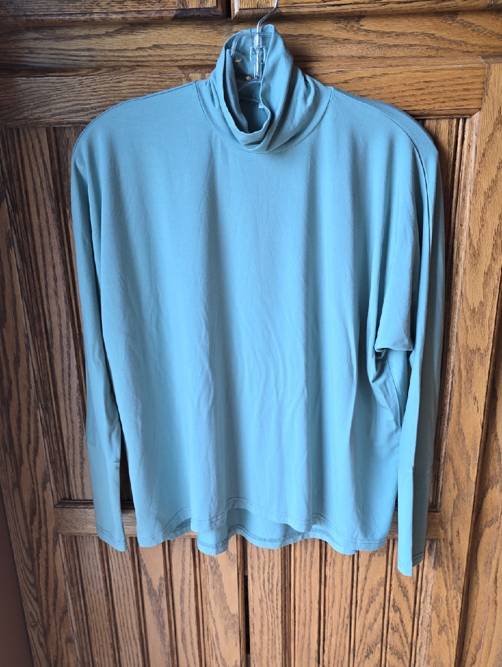 Aleeza Paria Sample Piece Sage Green Turtleneck Top. XS, NWOT
